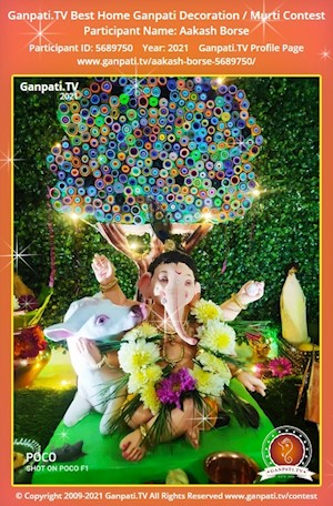 Aakash Borse Home Ganpati Picture