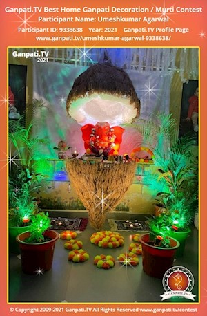 Umeshkumar Agarwal Home Ganpati Picture